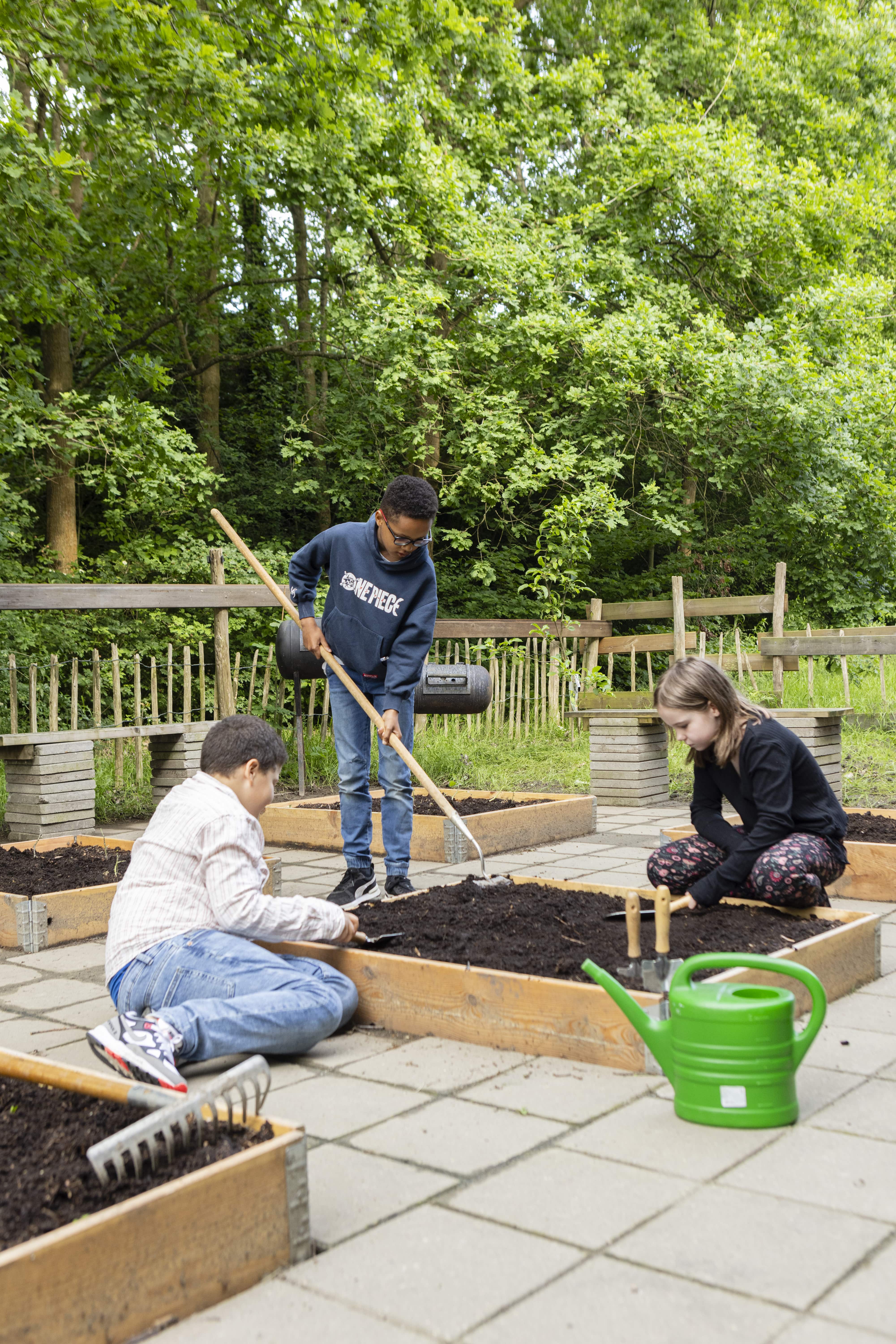 Moestuinbakken bij basisischool de Bongerd